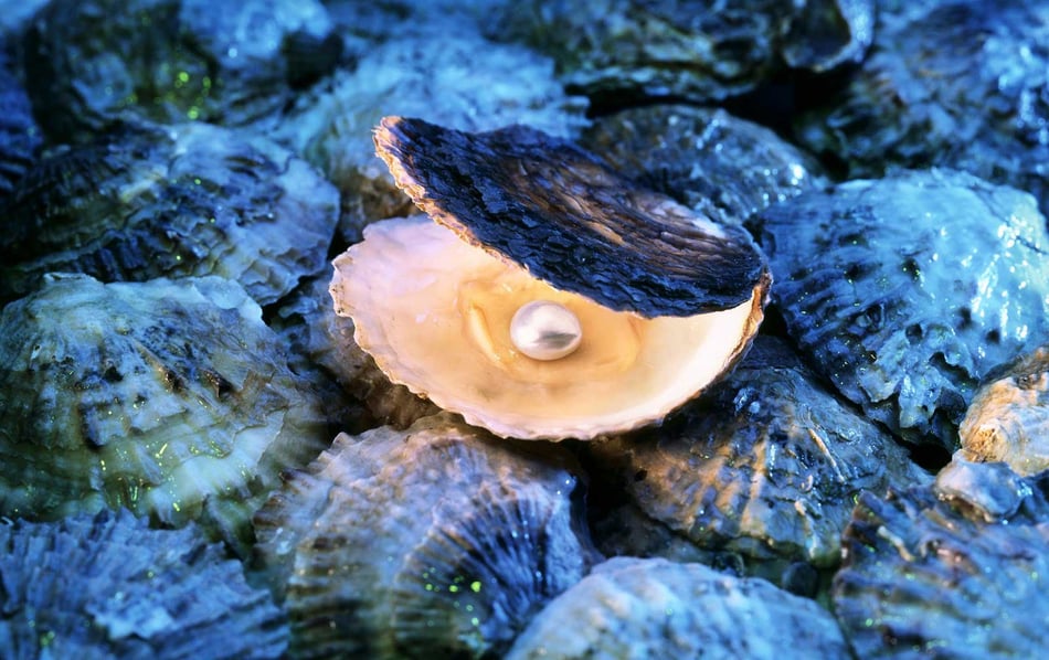 From Grain to Glamour: The Oyster's Pearl-Making Process