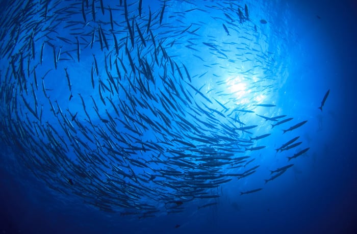 Blueing-the-NDCs_shutterstock_519883603