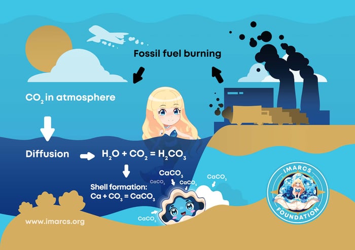 CO2-Emissions-Turned-Into-Giant-Clam-Shells-IMARCS